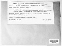 Image Associated With the Occurence